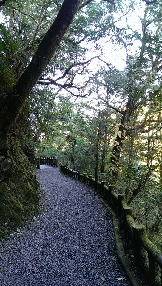 12418080 1557383634591848 2698313829370893362 n