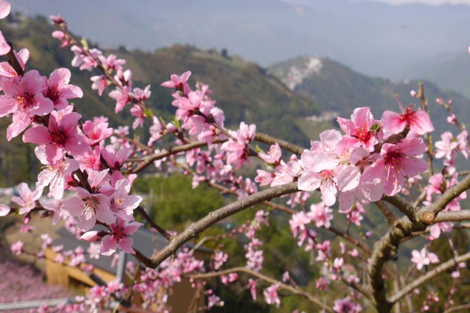 12923225 1566391180357760 1711657889036013173 n