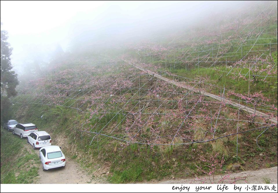 12963861 557482537760731 5872751020849429909 n